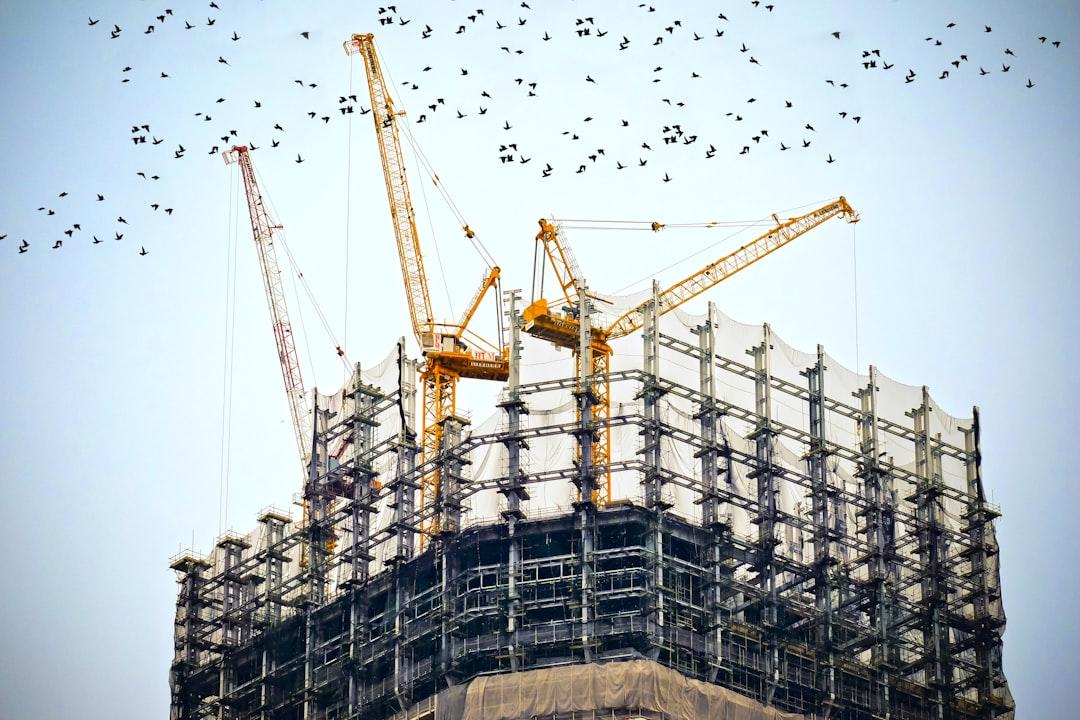 Cranes on a building<br />
<br />
Description automatically generated