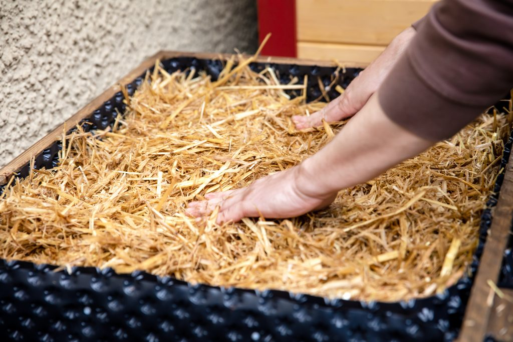 Preparing the Mushroom Substrate