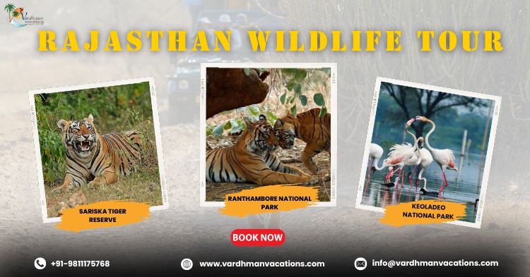 Rajasthan Wildlfie Tour 