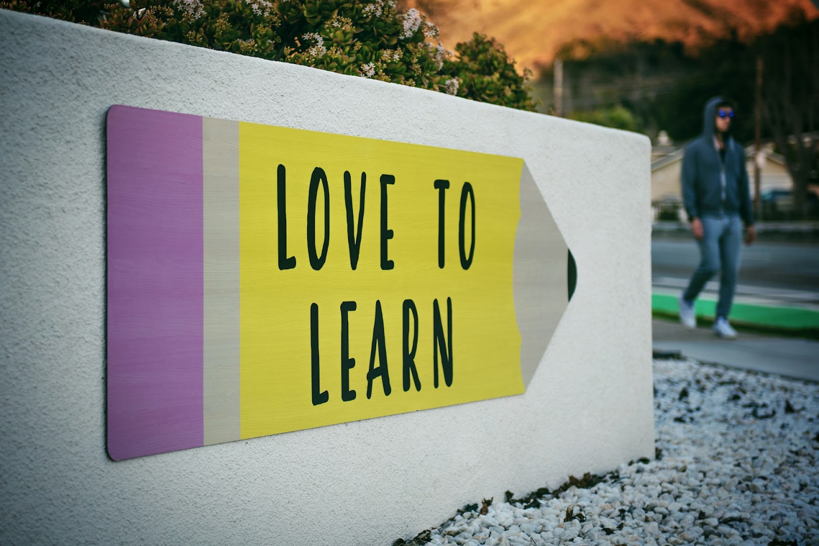 Loving the idea of continuous learning helps in becoming a better business leader