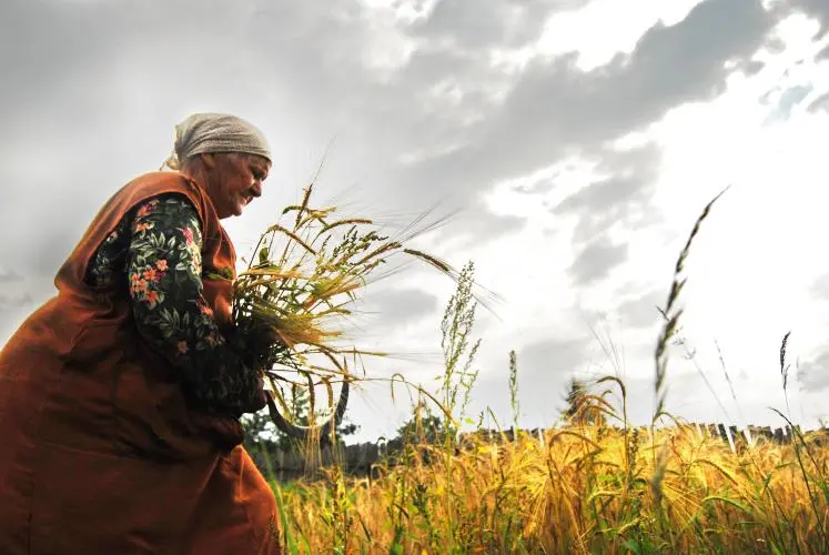 The Culture of Sustainability