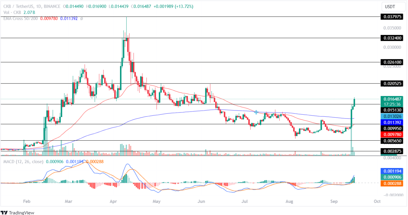 Altcoins อันดับต้น ๆ พุ่งขึ้น 50% ในสัปดาห์หน้า!