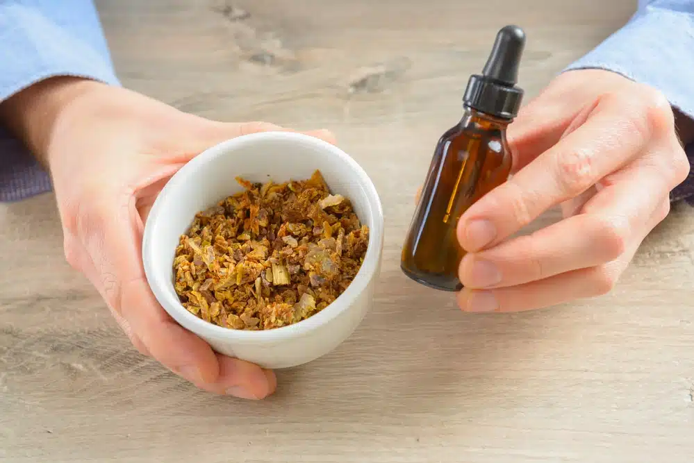 La propolis : récolte et préparation de teinture de propolis maison - Non classifié(e)