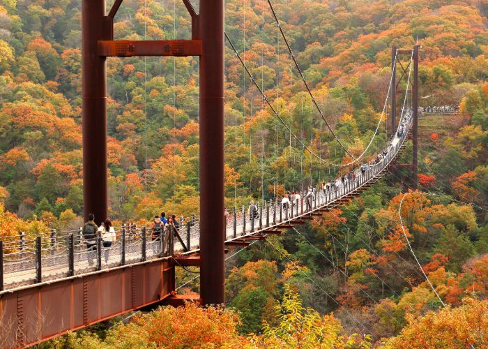 People crossing a long suspension bridge while looking at vibrant fall leaves in Osaka