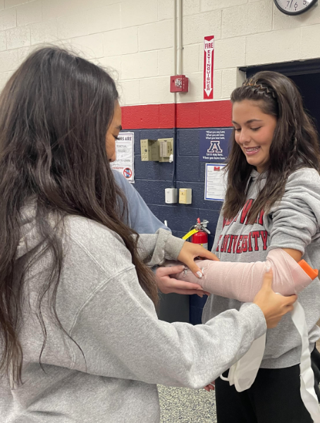 image of students learning about sports medicine