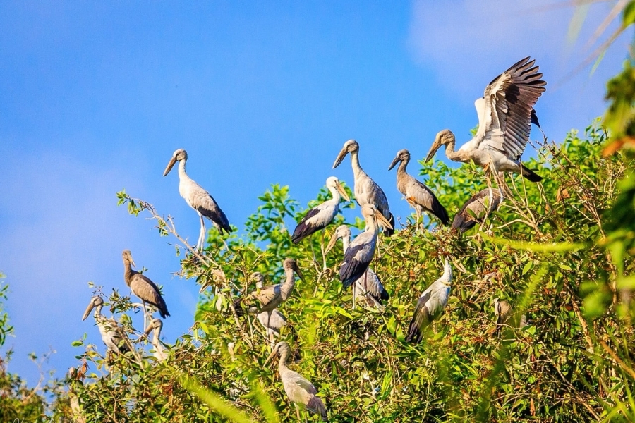 History and information about Lung Ngoc Hoang Nature Reserve