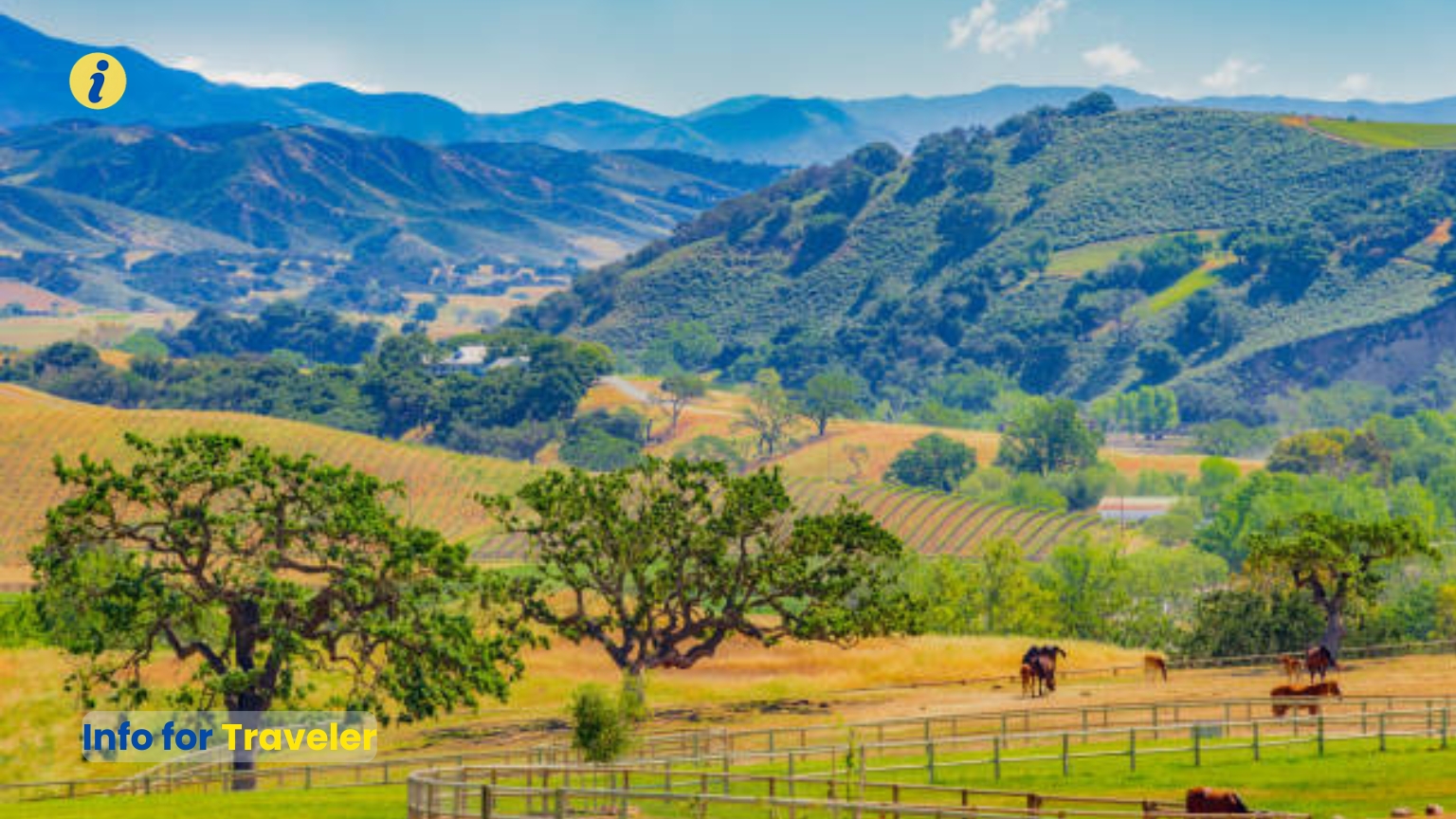 Beauty of small towns and fields