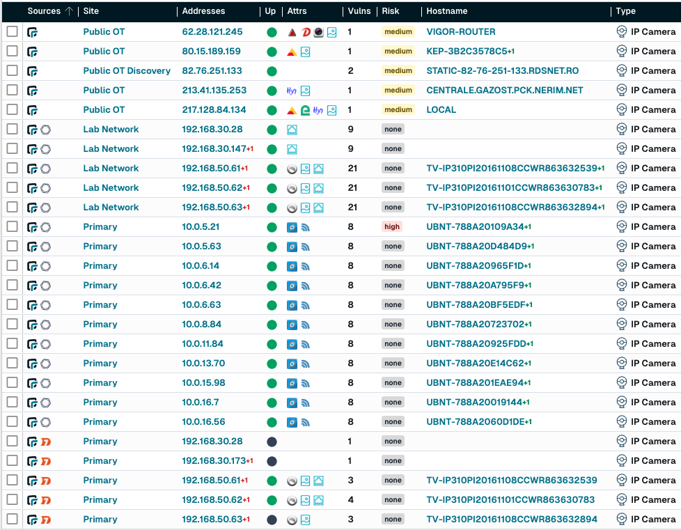 runZero query results for detecting IP camera assets.