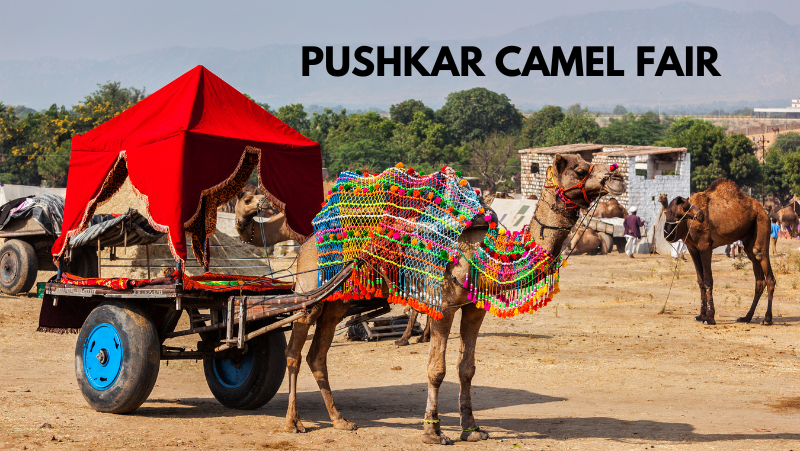 Pushkar Camel Fair