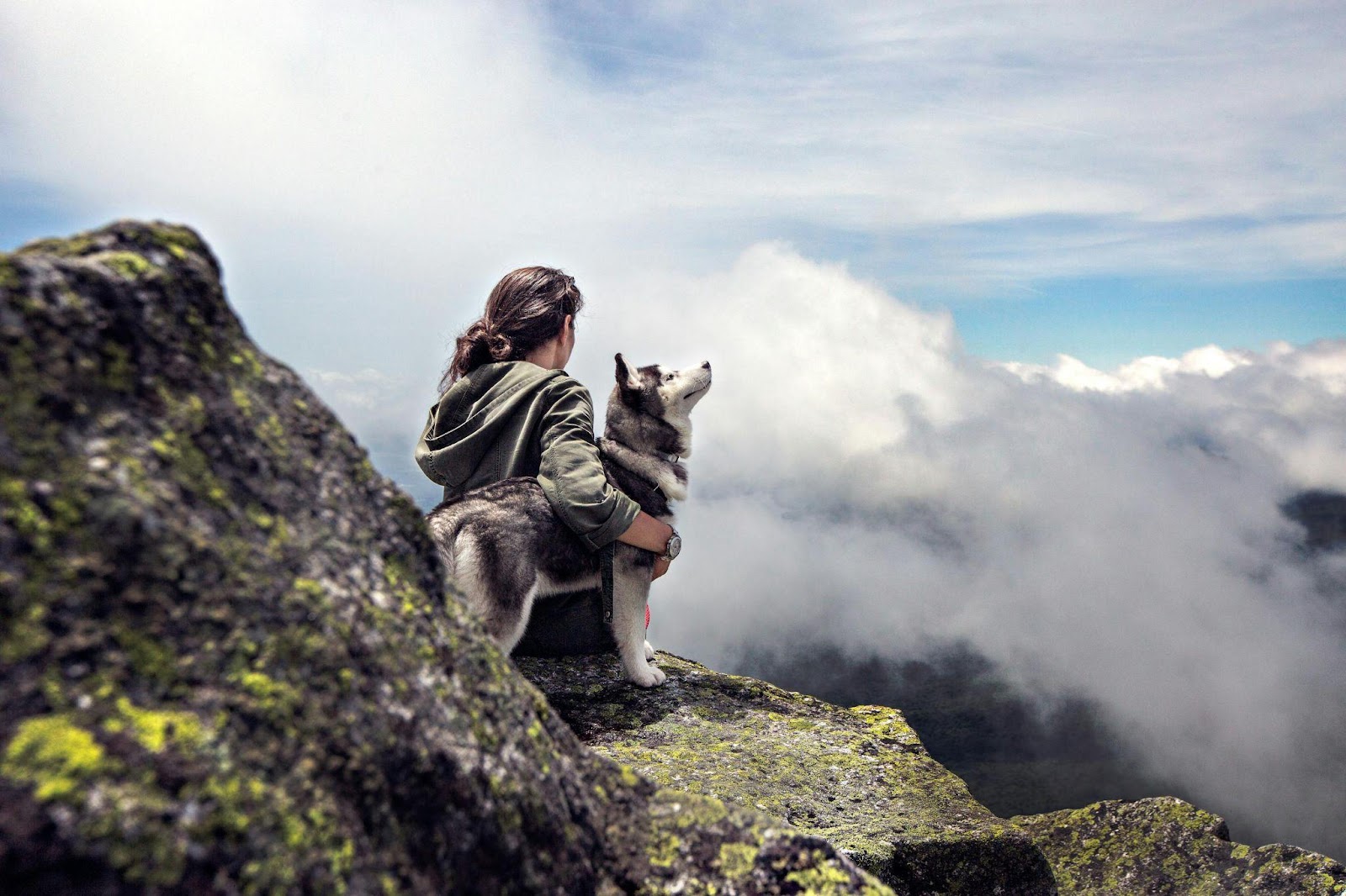 Incredible Dog-Friendly Vacations You Need to Take ASAP