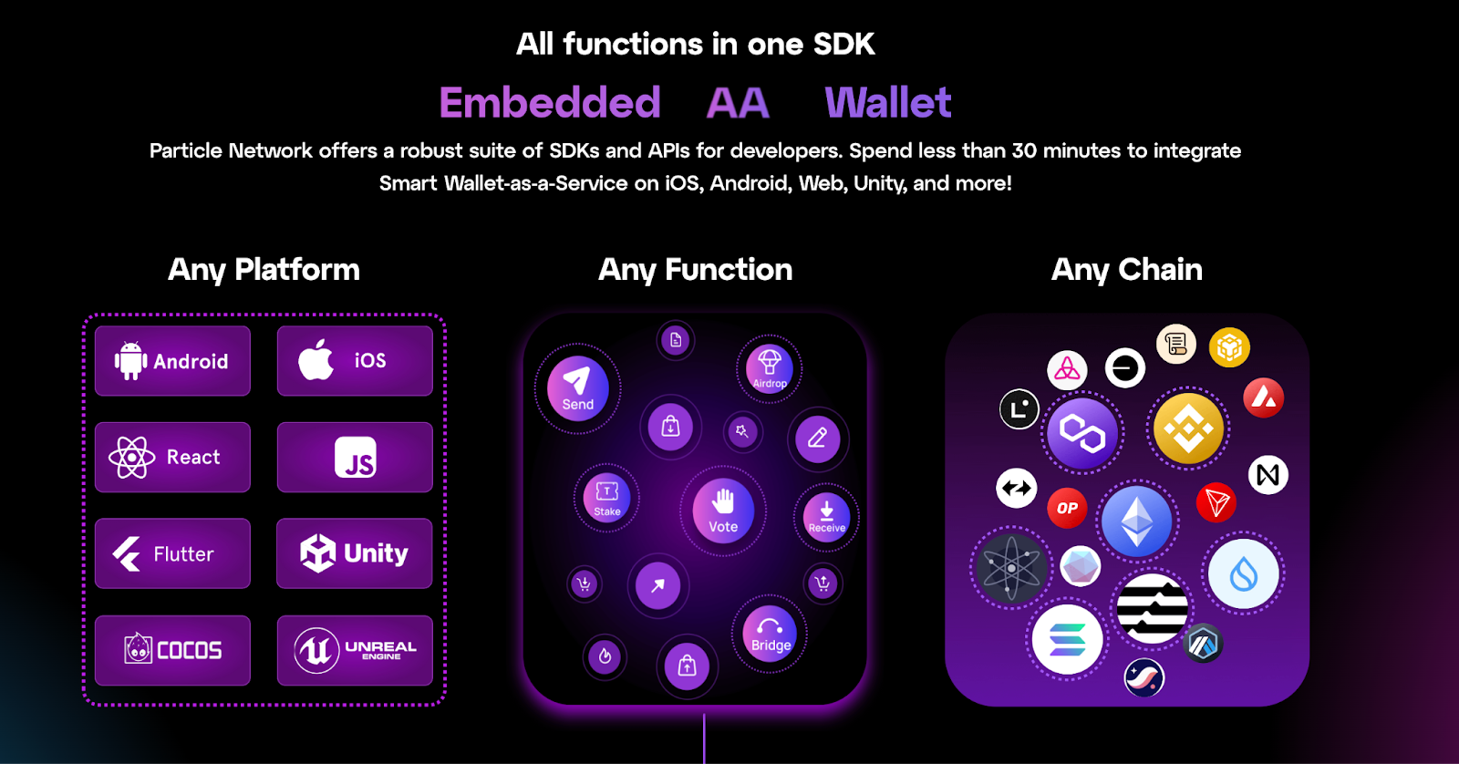 Particle Network - Project Review