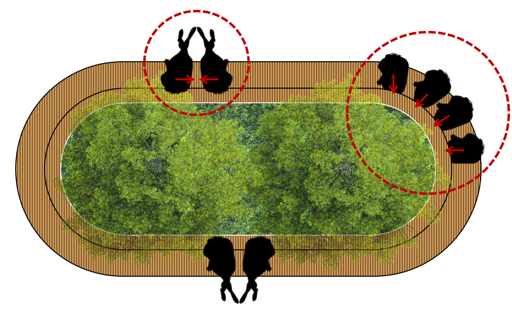 A bird's eye view of a pool

Description automatically generated