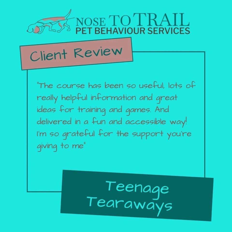 teenage tearaways course review 