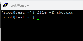 File Command Options