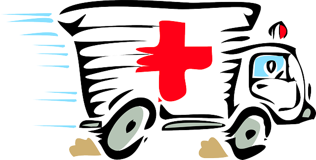 C:\Users\DELL\Downloads\ambulance-24405_640.png
