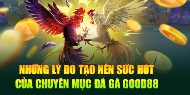 AD 4nXcBGBQ Ec1qj5Q ob75msfOAg4gadvTyAgJaEg7BYUpdNWSmPrOqsGLFEaZ1fwEIn2gWTyIJzyrRy8KkMkqgfzZ8nll7lMJNe0yF o7uPgwklJdCZgnk7pjVYDksN97mwTQ4ZWYMdl0FU8wKYHccGAi89k?key=4CA2wIopumJZ692tC4D3FA