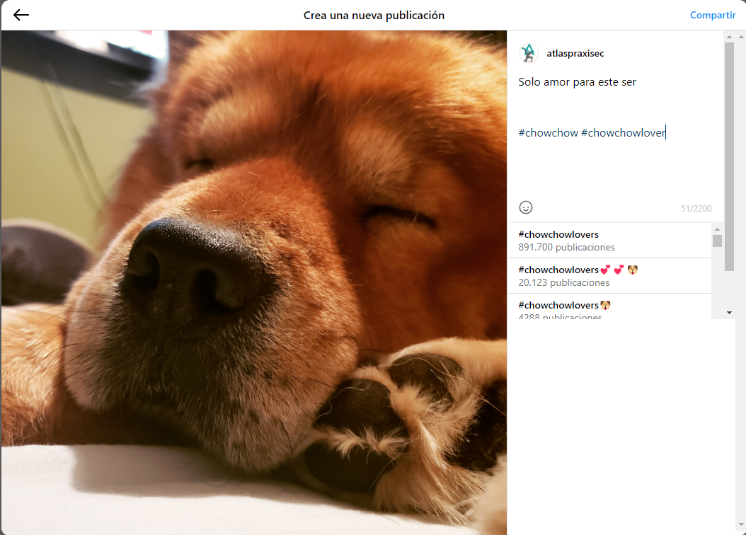 Instagram Web: ¿Cómo aprovechar su máximo potencial? 3
