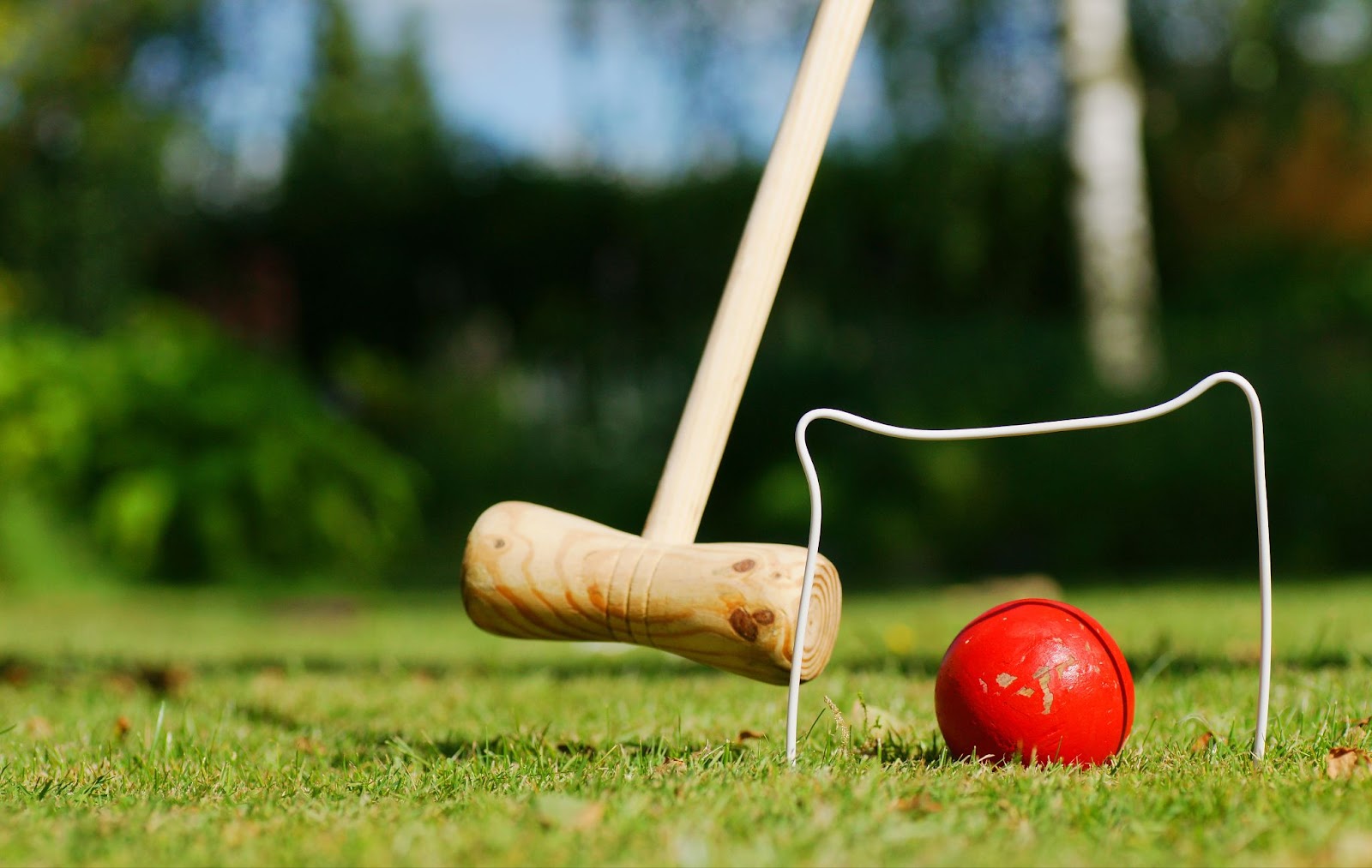 croquet mallet ball