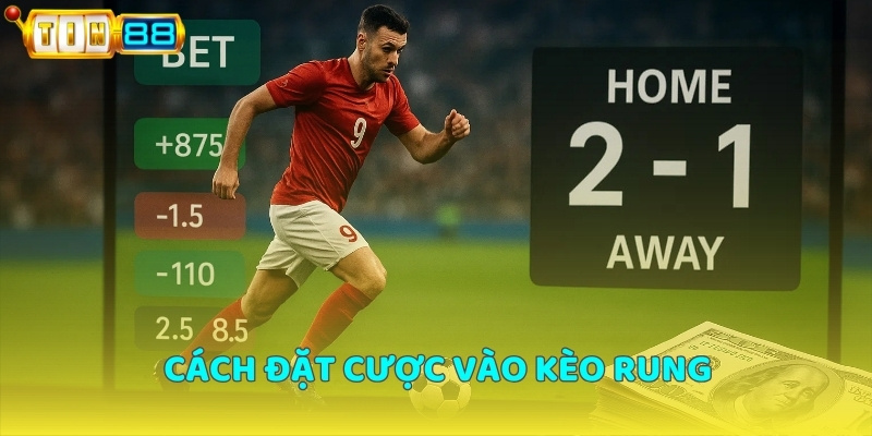 Giải thích đặt cược kèo rung tại nhà cái Tin88