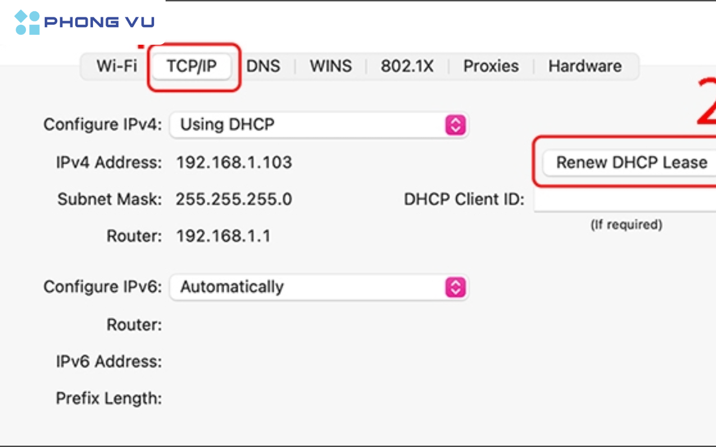 Nhấn vào tab TCP/ IP > Renew DHCP Lease
