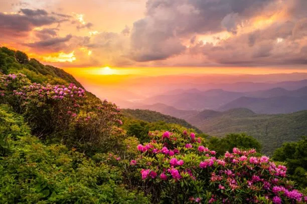 Explore Tranquility Through These Scenic Landscapes, scenic landscapes, tranquility, nature, landscape, nature escape, peaceful moments