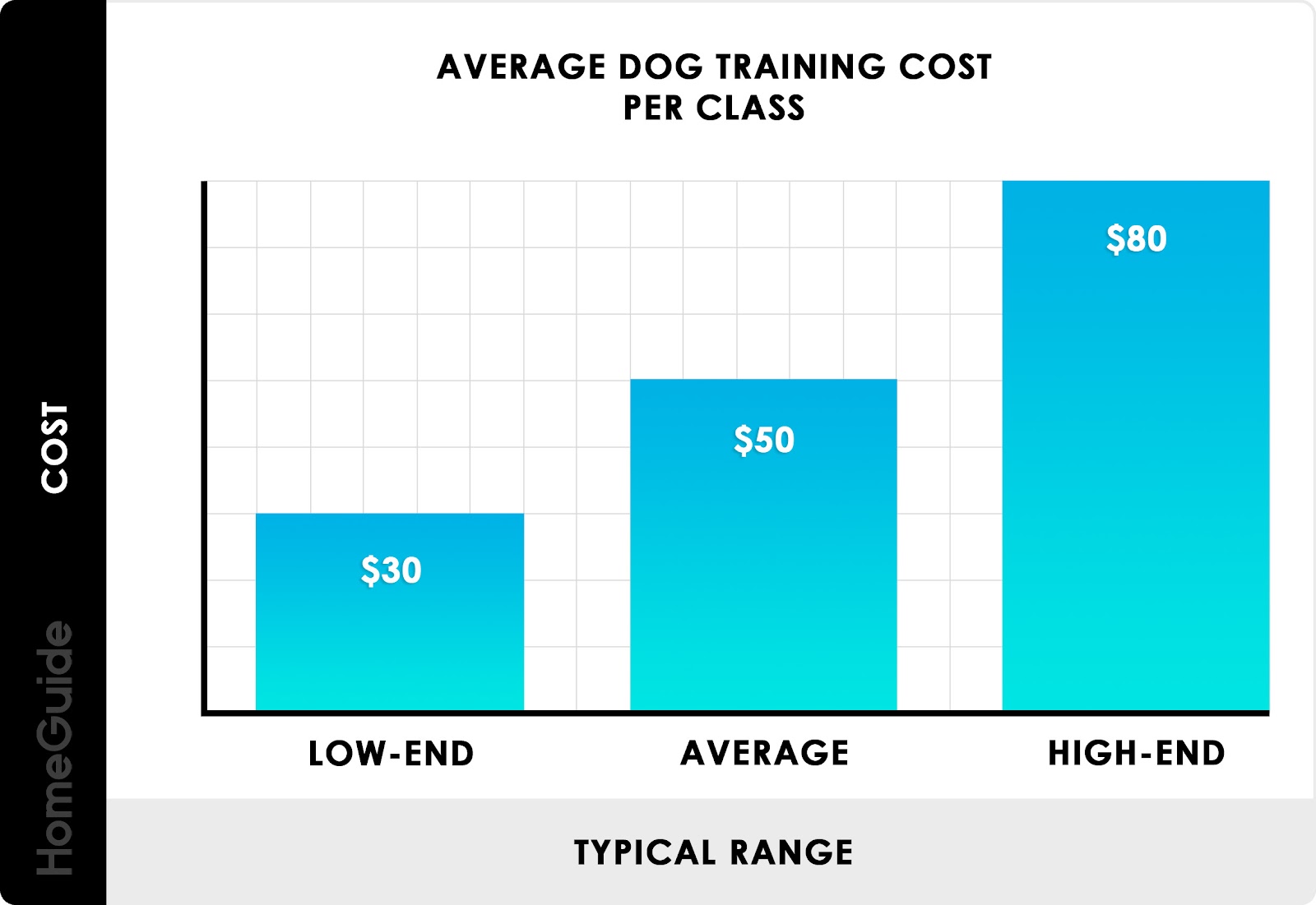 therapy-dog-training-cost-affordable-options-and-tips