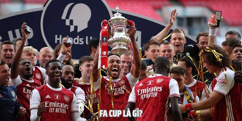 FA Cup – Thể Thức Và Quy Định Của Giải Bóng Đá Nam Tại Anh