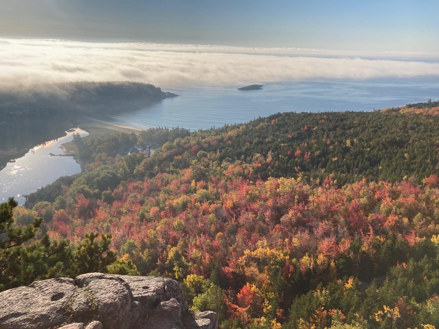 A beautiful, sprawling view of a forest and water from a cliff as clouds roll in.