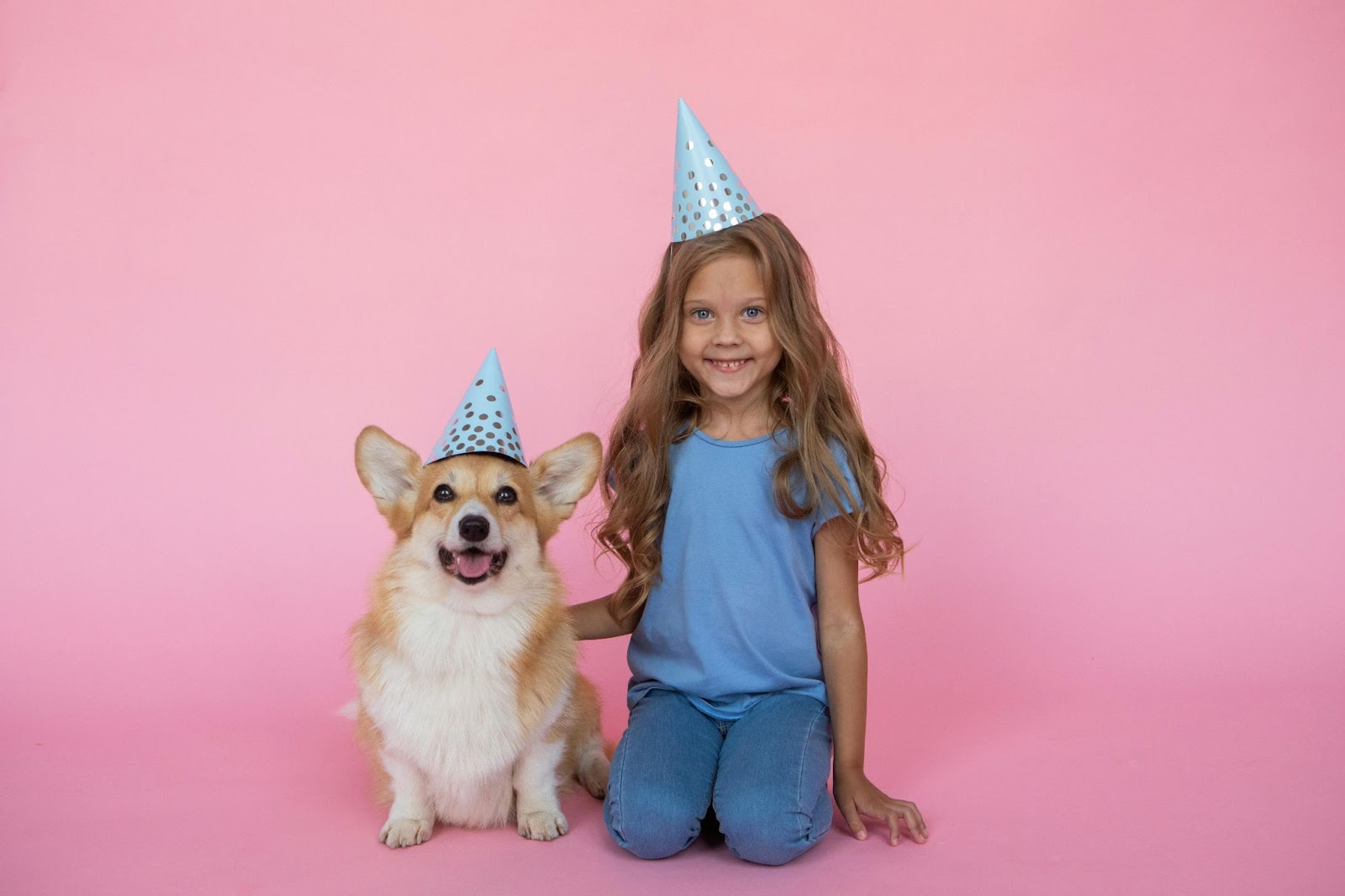 Go… Go Bingo, It’s Your Birthday: Why Your Pet Deserves to Party Too 1