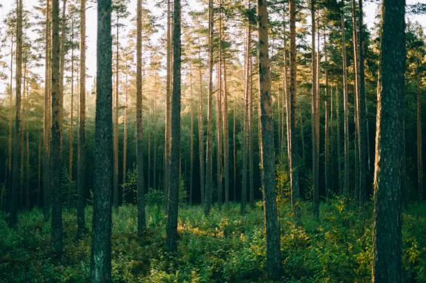 10 Places That Show Nature’s Grace, graceful nature, elegant landscapes, nature, landscape, smooth scenery, soft visuals