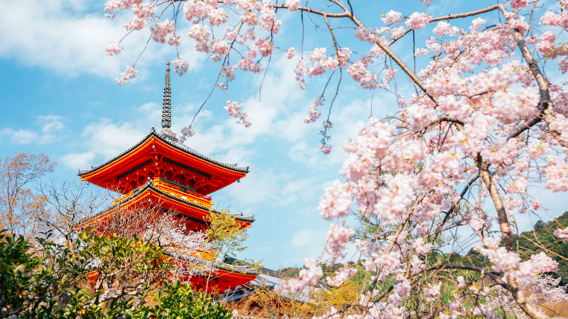 獨旅 日本