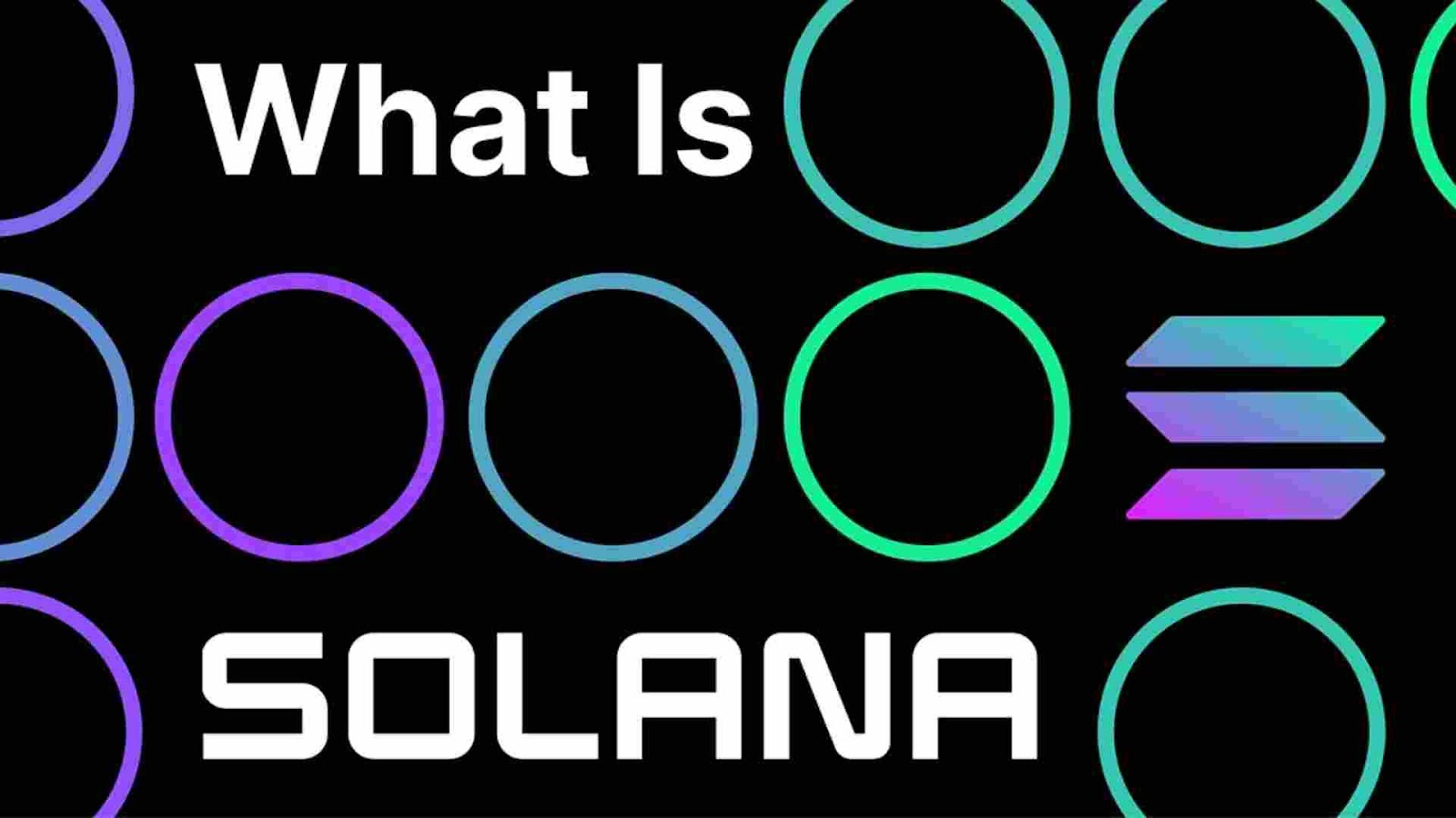 What Are Solana Meme Coins?