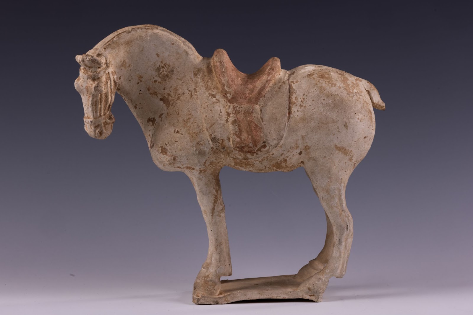 Tang Dynasty Horse, 618-907 CE. Ceramic with pigment, 11 3/4 x 12 1/2 x 4 inches. Gift of Barbara Fahs Charles, in memory of her great aunt, Abbie Lyon Sharman, and her grandmother, Sophia Lyon Fahs. 2021.12.