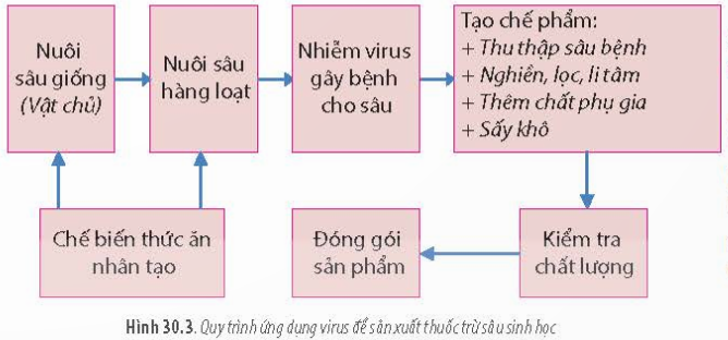 BÀI 30 - ỨNG DỤNG CỦA VIRUS TRONG Y HỌC VÀ THỰC TIỄN