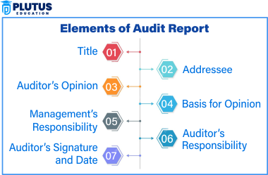 elements of audit report
