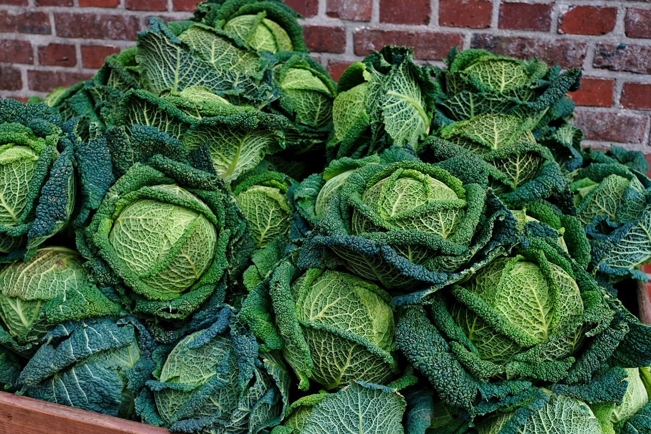 kale vegetable seeds that need stratification