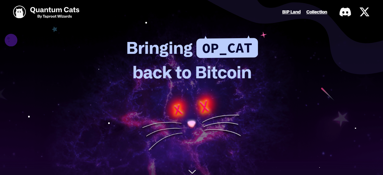 CRYPTONEWSBYTES.COM AD_4nXcCRhZPrOb9IU7zB756op7RwL-PKff-yph8vSWEzCTgxoYCWR0es78Y6Tzg3AbGPg5Rm_n-7AGHjnQZvx4kX6I6kC021IUrIvFFQlpWInJzOo4Czhl1QowsTI5TK6fzx8ZilwgNrxBKqSchB5r8vSWVLNw1xdkyC48_0Axf?key=te9DR_FOx_7AFdMnSeYhgg Introducing Quantum Cats NFT and its $1 Million Impact on Bitcoin NFT Ecosystem  