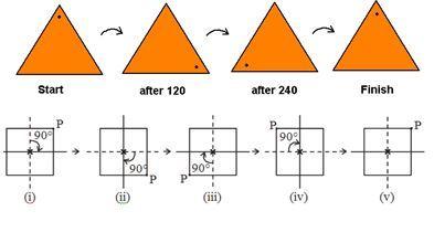  Rotational symmetry in triangle and square