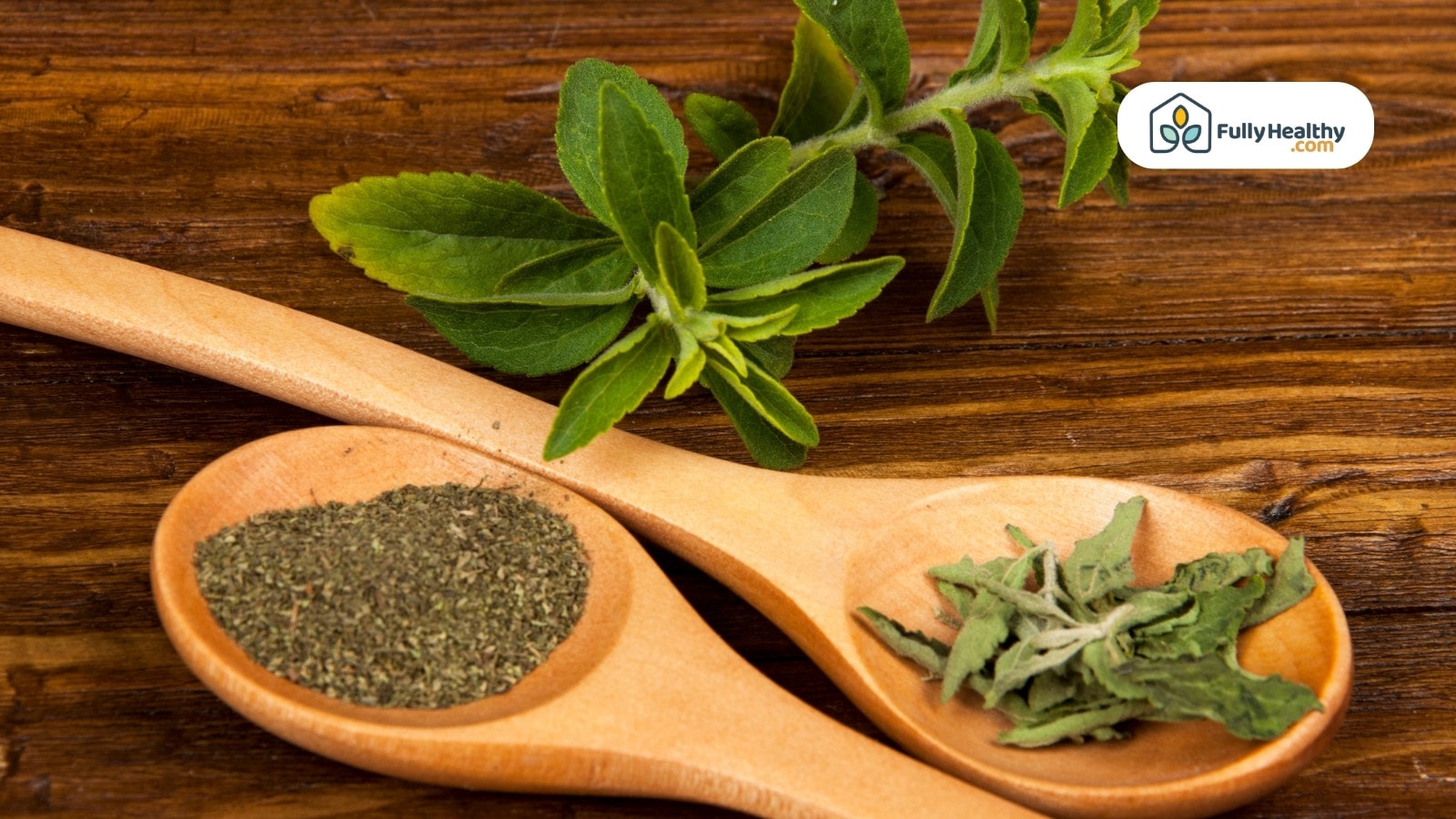 Dried and ground stevia leaves in spoons with fresh sprigs