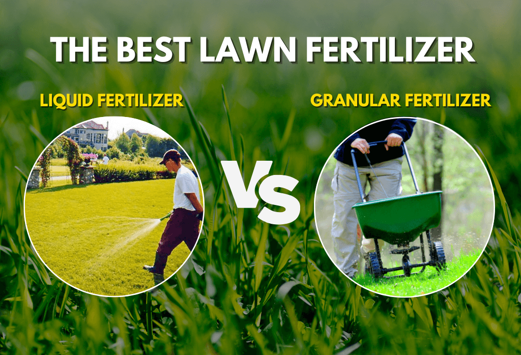 Granular Fertilizers vs. Liquid Fertilizers