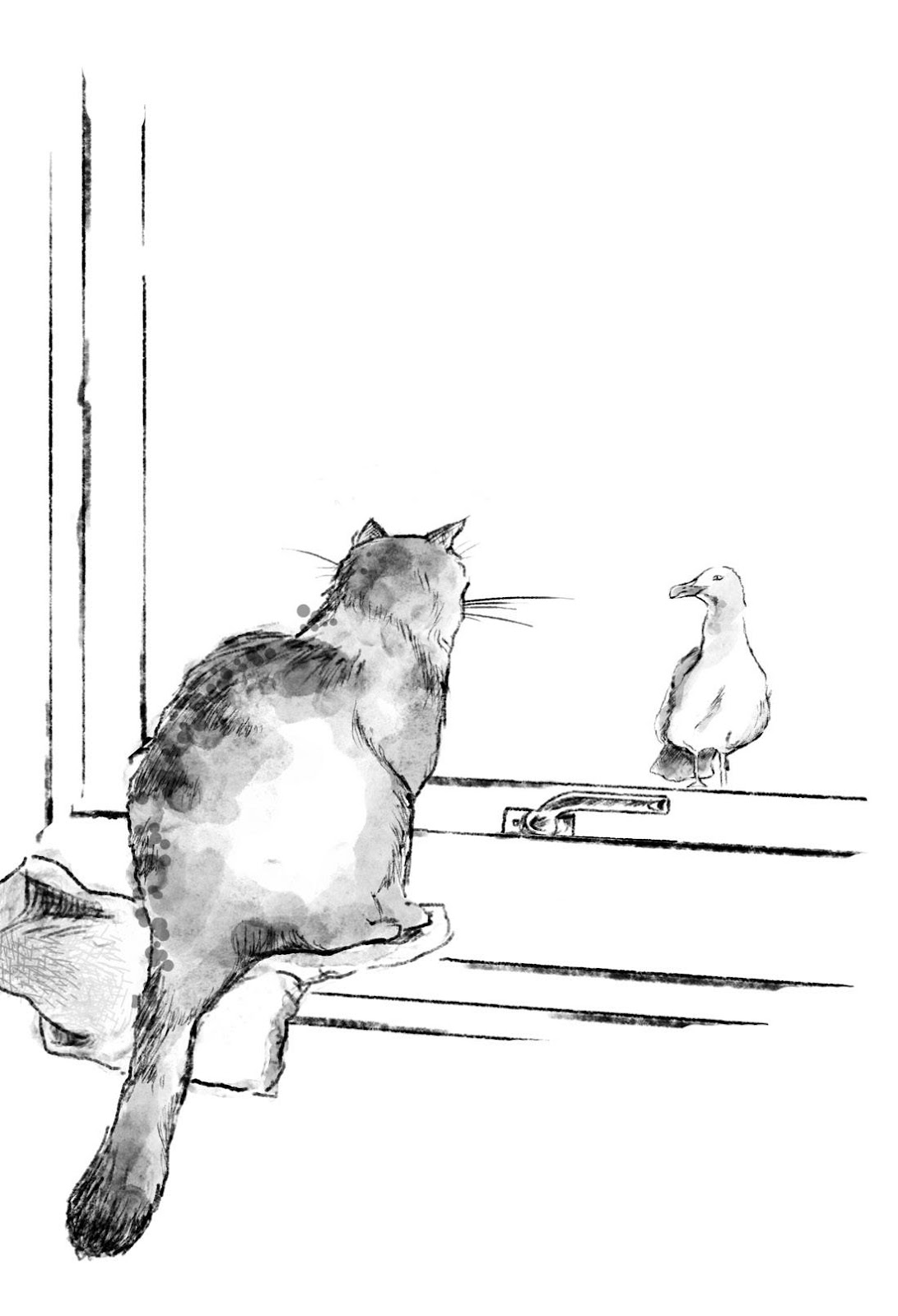 Katzenbuch_Fenster.tif.jpg