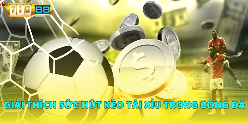 Kèo tài xỉu tại Tin88 là gì?
