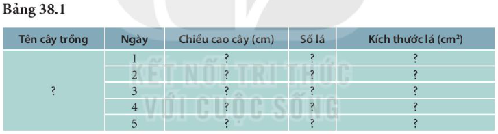 BÀI 38. THỰC HÀNH: QUAN SÁT, MÔ TẢ SỰ SINH TRƯỞNG VÀ PHÁT TRIỂN Ở MỘT SỐ LOÀI SINH VẬT