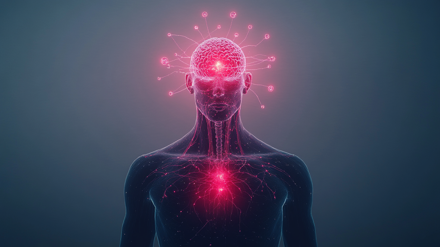 melatonin functions