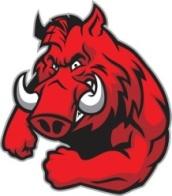 Image result for razorback hog
