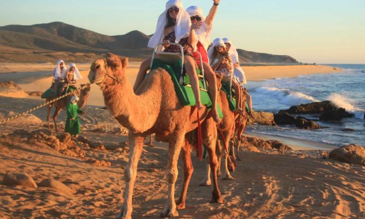 Eco-tourism in Cabo San Lucas