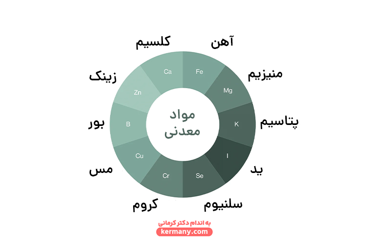 انواع مواد معدنی بدن
