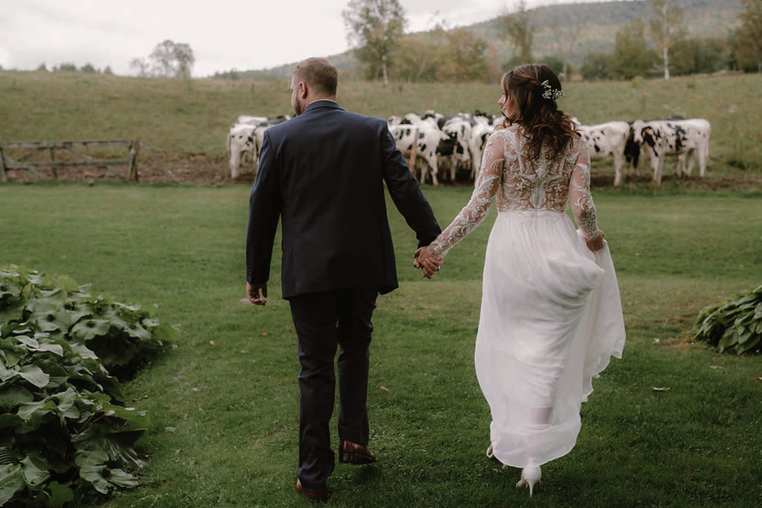 bride groom cow