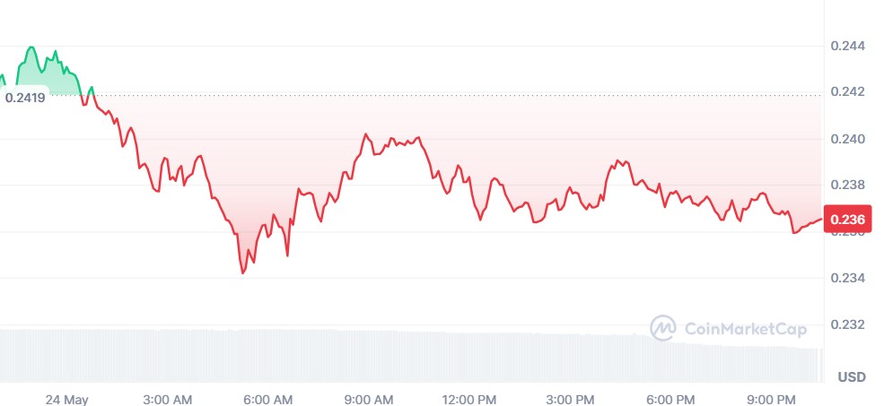Polygon Price Crash