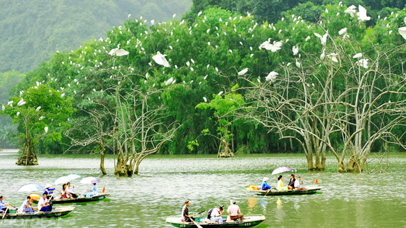 Hệ sinh thái phong phú tại Thung Nham